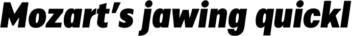 Alergia Grotesk Condensed Blackitalic