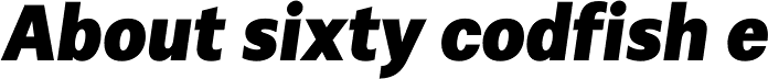 Alergia Grotesk Normal Blackitalic