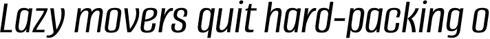 Alumni Sans Book Italic