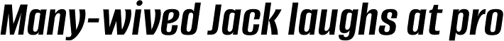 Alumni Sans Demi Bold Italic