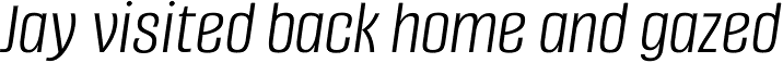Alumni Sans Light Italic