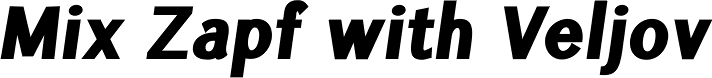 Amescote Ultra Italic