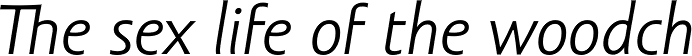 Amor Sans Italic