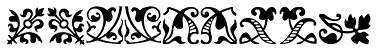 Andron Ornamente™