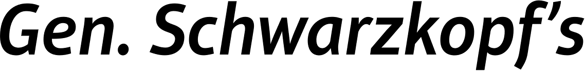 Aptifer Sans Pro SemiBold Italic