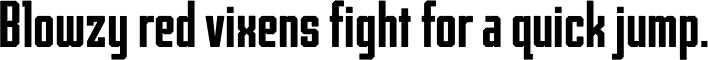Archiva Bold Rounded