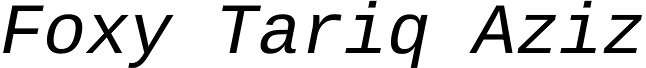 Ascender Sans Mono Italic