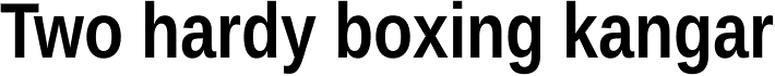 Ascender Sans Narrow Bold