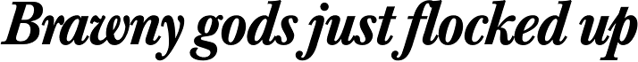 Baskerville Nr 1 SH Med Italic