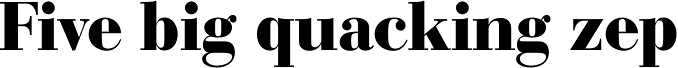 Bauer Bodoni D Bold