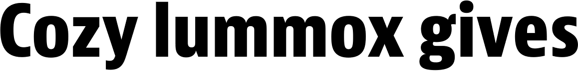 Bernina Sans Condensed ExtraBold