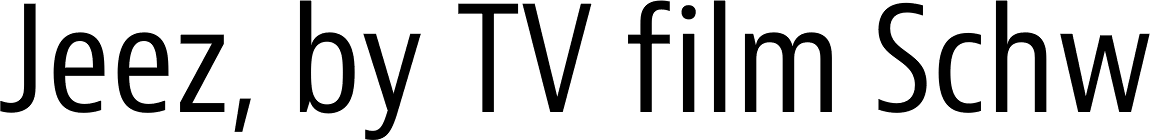 Bernina Sans Condensed Regular
