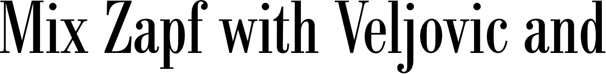 Berth Bodoni Pro Cond