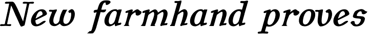 BetterEuroika Bold Italic