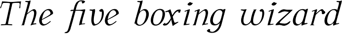 BetterEuroika Italic