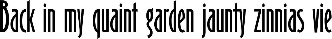 Binner Gothic Std