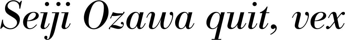 Bodoni Antiqua Italic