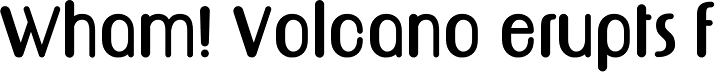 Bolobold