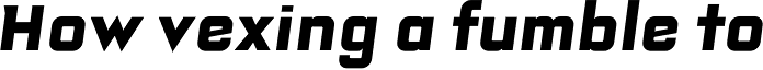 Bourgeois Ultra Italic Alt