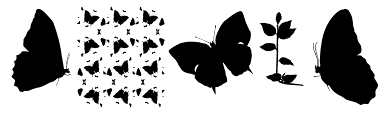 Butterfly Effect