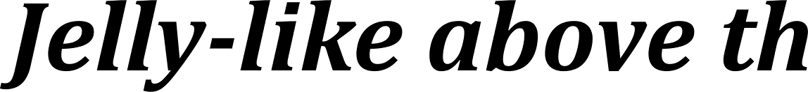 Cambria Bold Italic