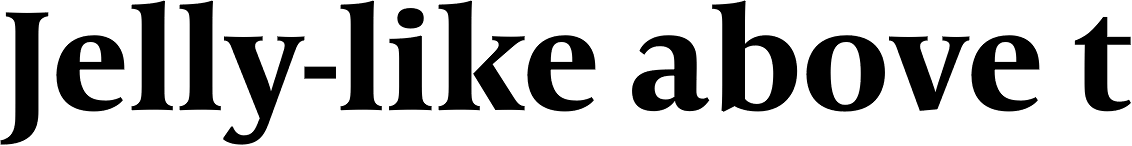 Capitolium News 2 Bold