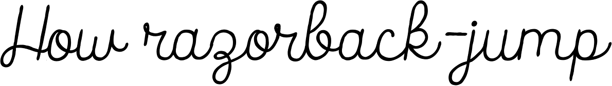 Catalina Script Italic