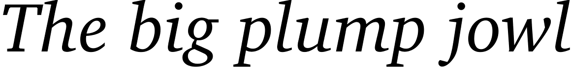 Charter Italic