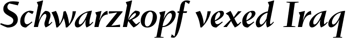 Conqueror Medium Italic