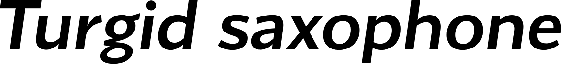 Conqueror Sans Medium Italic