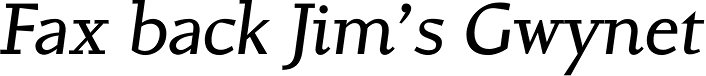 Conqueror Slab Italic