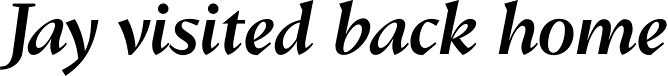 Conqueror Text Medium Italic