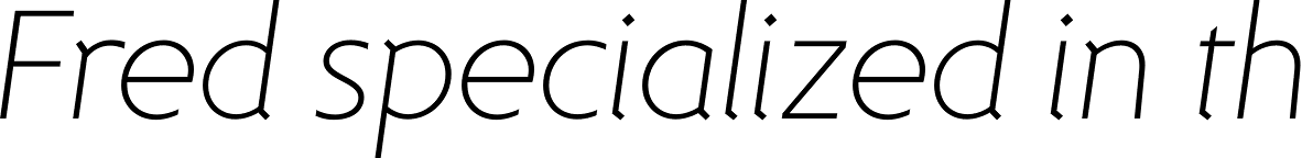 Dee Dee Thin Italic