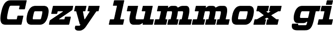 Defender 43 Bold Italic