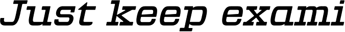Defender 43 Italic