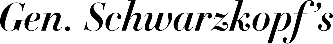 DietDidot Bold Italic