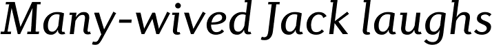 Diverda Serif Pro Italic