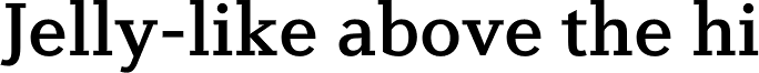 Diverda Serif Pro Medium