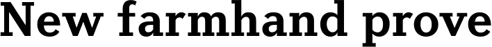 Diverda Serif Std Bold