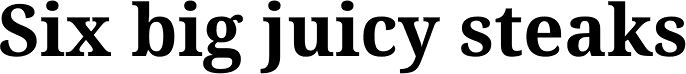 Droid Serif Pro Bold