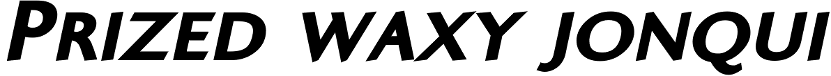 Ela Sans Black Caps Italic