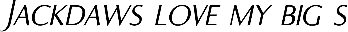 Ela Sans Light Caps Italic
