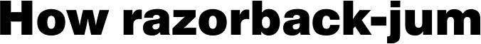 Europa Grotesk SB Bold