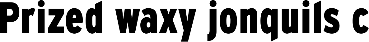 Expressway Condensed ExtraBold