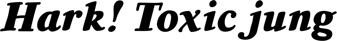 Extra Extra Heavy Italic