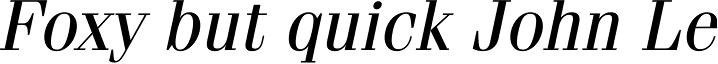 Fenice Std Oblique