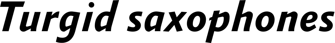 FF Absara Sans OT Bold Italic