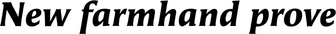 FF Angie Pro Black Italic