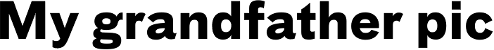 FF Bau OT Bold
