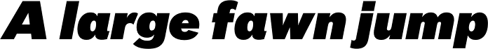 FF Bau OT Super Italic